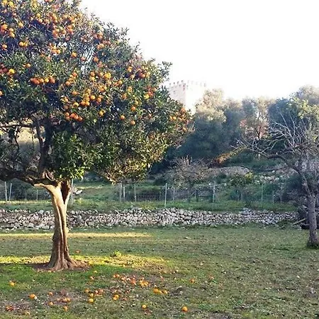 Agroturismo Sa Duaia De Dalt